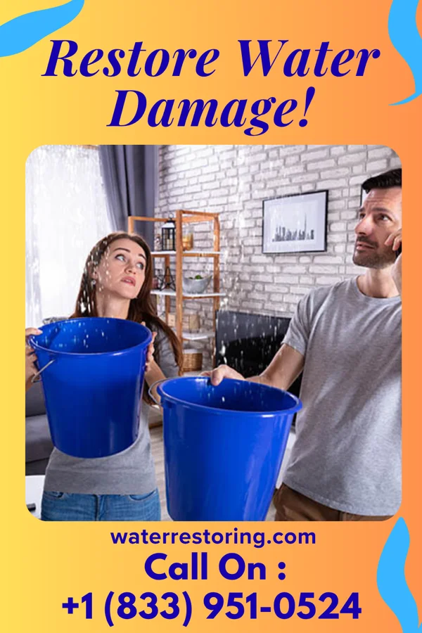 water restoration Platinum Storm Recovery Delaware