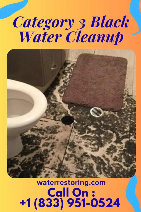 Category 3 Black Water Cleanup in Delaware, OH