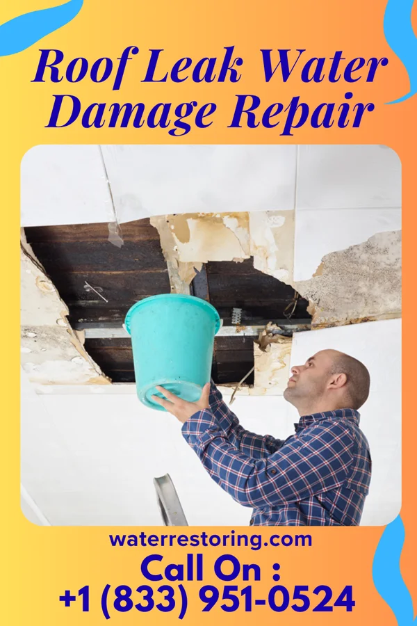 Roof Leak Water Damage Repair in Delaware, OH
