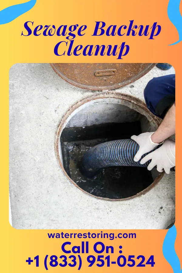 Sewage Backup Cleanup in Delaware, OH