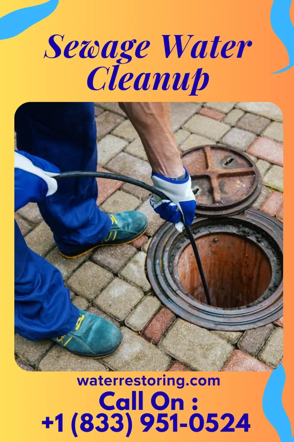 Sewage Water Cleanup in Delaware, OH