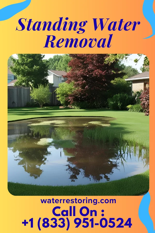 Standing Water Removal in Delaware, OH